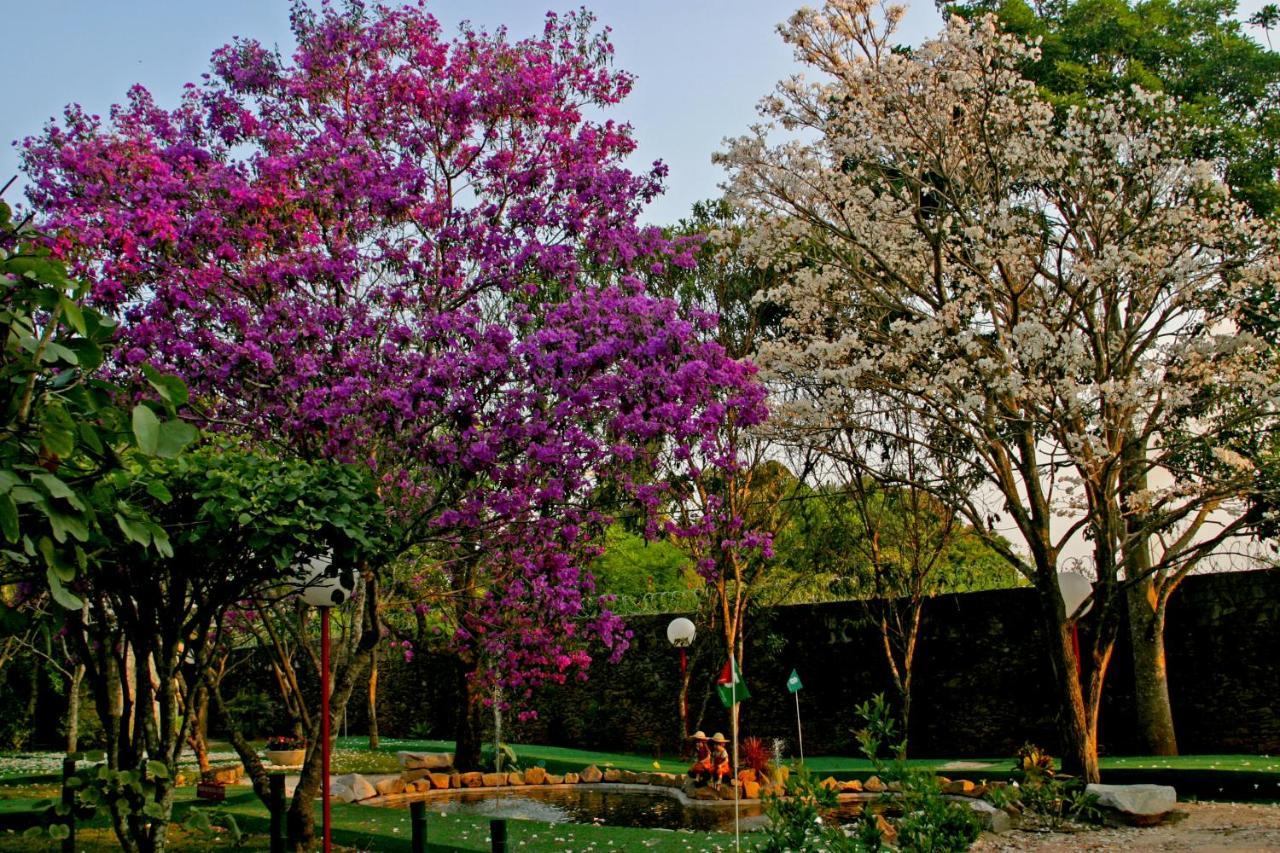 Villa Buonabitacolo 사오조아오델레이 외부 사진