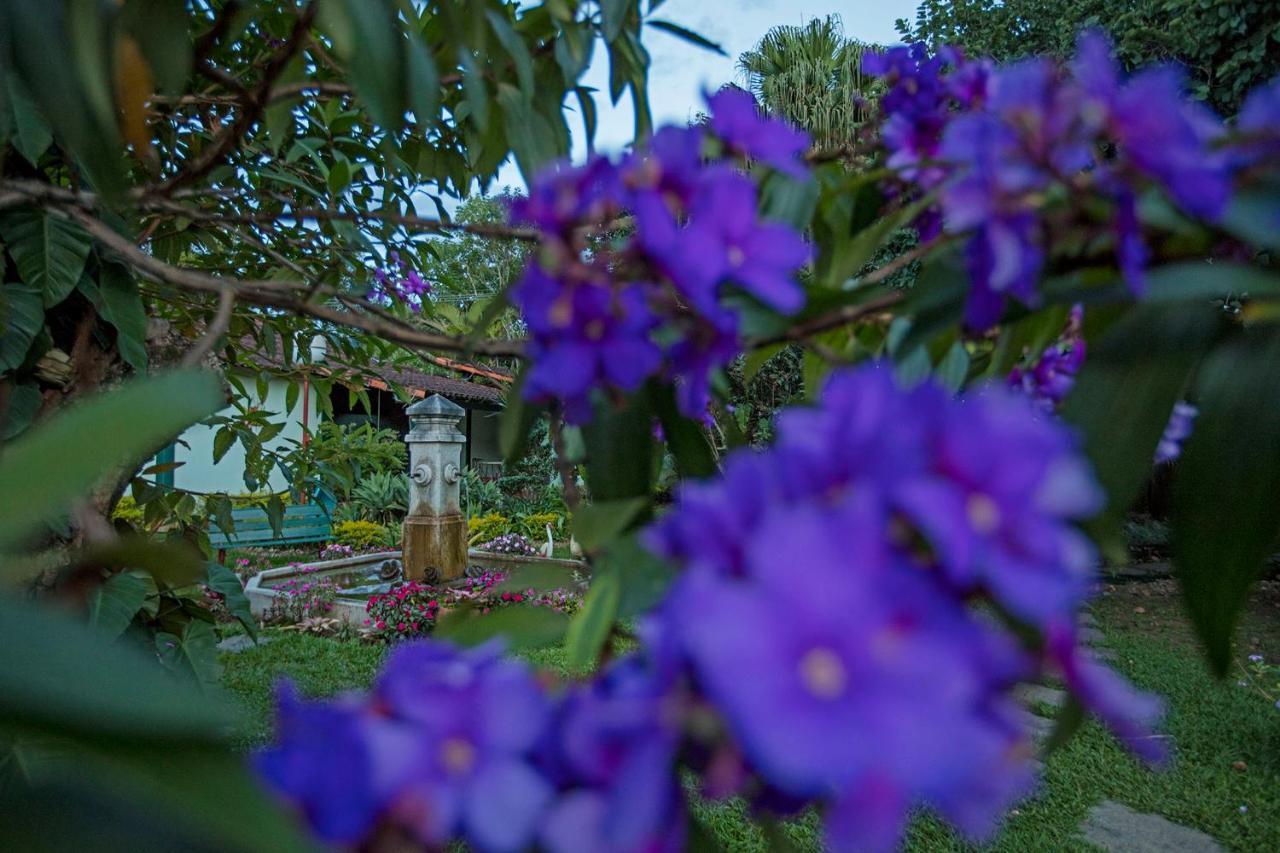 Villa Buonabitacolo 사오조아오델레이 외부 사진