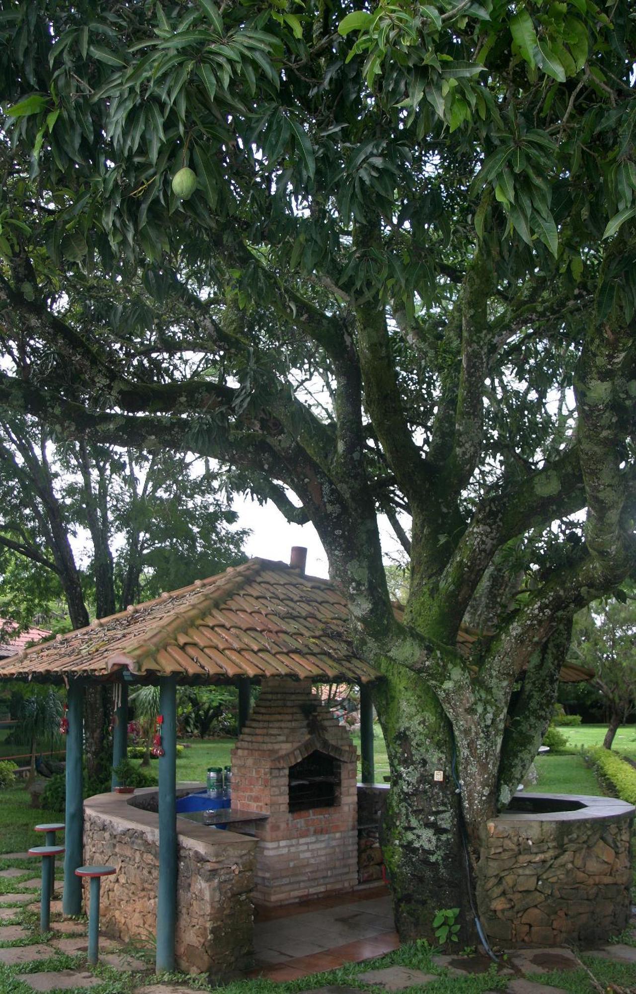 Villa Buonabitacolo 사오조아오델레이 외부 사진